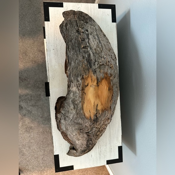 Driftwood with turquoise stone. All natural. - Picture 4 of 6